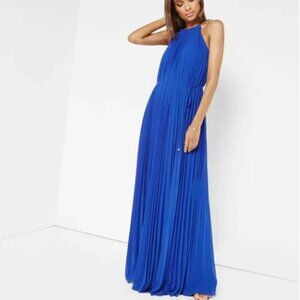 NWT Ted Baker Helyos Pleated Chiffon Midi Dress